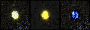 Missing file NGC2725-custom-montage-FUVNUV.png