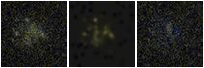 Missing file PGC086668-custom-montage-FUVNUV.png
