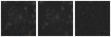 Missing file PGC086668-custom-montage-W1W2.png
