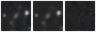 Missing file PGC213563-custom-montage-W1W2.png