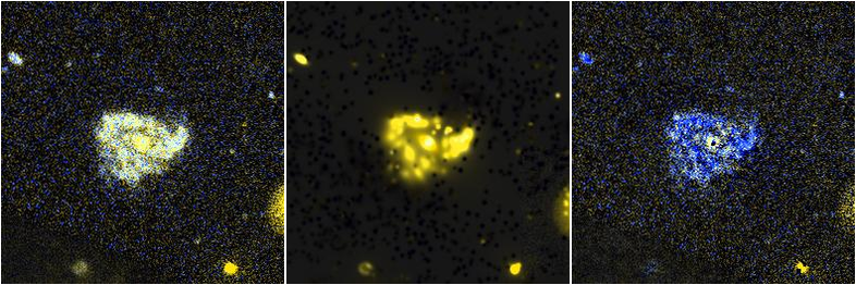 Missing file NGC2750-custom-montage-FUVNUV.png