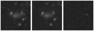 Missing file PGC025750-custom-montage-W1W2.png