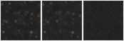 Missing file PGC2806961-custom-montage-W1W2.png