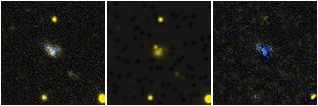 Missing file AGC198562-custom-montage-FUVNUV.png