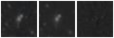 Missing file PGC2020885-custom-montage-W1W2.png