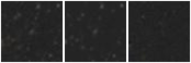 Missing file PGC2190150-custom-montage-W1W2.png
