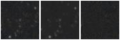 Missing file SDSSJ091354.37+190302.7-custom-montage-W1W2.png