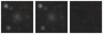 Missing file SDSSJ091531.98+594948.5-custom-montage-W1W2.png