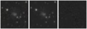Missing file UGC04868-custom-montage-W1W2.png
