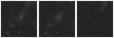 Missing file PGC086669-custom-montage-W1W2.png