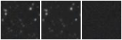 Missing file PGC2193027-custom-montage-W1W2.png