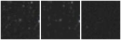 Missing file PGC2409762-custom-montage-W1W2.png