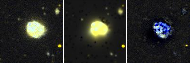 Missing file VFID2564-custom-montage-FUVNUV.png