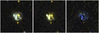 Missing file AGC193816-custom-montage-FUVNUV.png