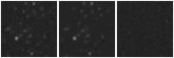 Missing file AGC198687-custom-montage-W1W2.png