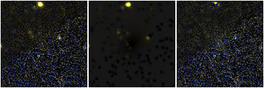 Missing file PGC2807130-custom-montage-FUVNUV.png