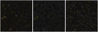 Missing file VFID3413-custom-montage-FUVNUV.png