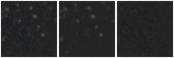 Missing file AGC198541-custom-montage-W1W2.png