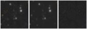 Missing file AGC749401-custom-montage-W1W2.png