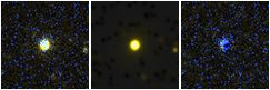Missing file PGC026647-custom-montage-FUVNUV.png