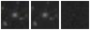 Missing file PGC1528515-custom-montage-W1W2.png