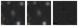 Missing file PGC2601707-custom-montage-W1W2.png