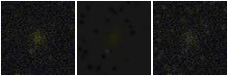 Missing file SDSSJ092405.24+343847.4-custom-montage-FUVNUV.png