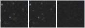 Missing file VFID0203-custom-montage-W1W2.png