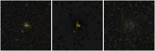 Missing file AGC749406-custom-montage-FUVNUV.png