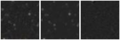 Missing file NGC2903_IHS2009_HI1-custom-montage-W1W2.png
