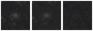 Missing file SDSSJ093207.76+101413.4-custom-montage-W1W2.png