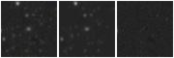 Missing file PGC1359643-custom-montage-W1W2.png