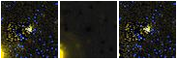 Missing file PGC2214038-custom-montage-FUVNUV.png