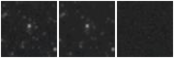 Missing file AGC198337-custom-montage-W1W2.png