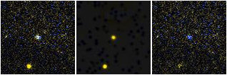 Missing file AGC198691-custom-montage-FUVNUV.png