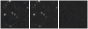 Missing file PGC027626-custom-montage-W1W2.png