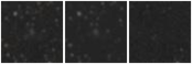 Missing file PGC1277283-custom-montage-W1W2.png
