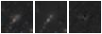 Missing file PGC1365365-custom-montage-W1W2.png
