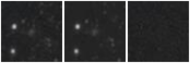 Missing file PGC2832070-custom-montage-W1W2.png