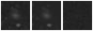 Missing file SDSSJ094330.40+393717.8-custom-montage-W1W2.png