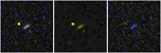Missing file AGC198338-custom-montage-FUVNUV.png