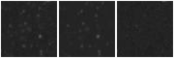 Missing file AGC198568-custom-montage-W1W2.png