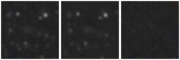 Missing file PGC027949-custom-montage-W1W2.png