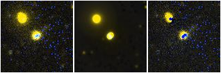 Missing file PGC028043-custom-montage-FUVNUV.png