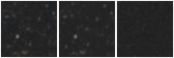 Missing file PGC2184302-custom-montage-W1W2.png