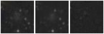 Missing file UGC05209-custom-montage-W1W2.png