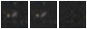 Missing file PGC1365943-custom-montage-W1W2.png