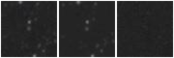 Missing file PGC1916762-custom-montage-W1W2.png