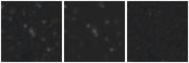 Missing file PGC2042146-custom-montage-W1W2.png