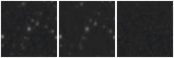 Missing file SDSSJ094847.46+275225.4-custom-montage-W1W2.png